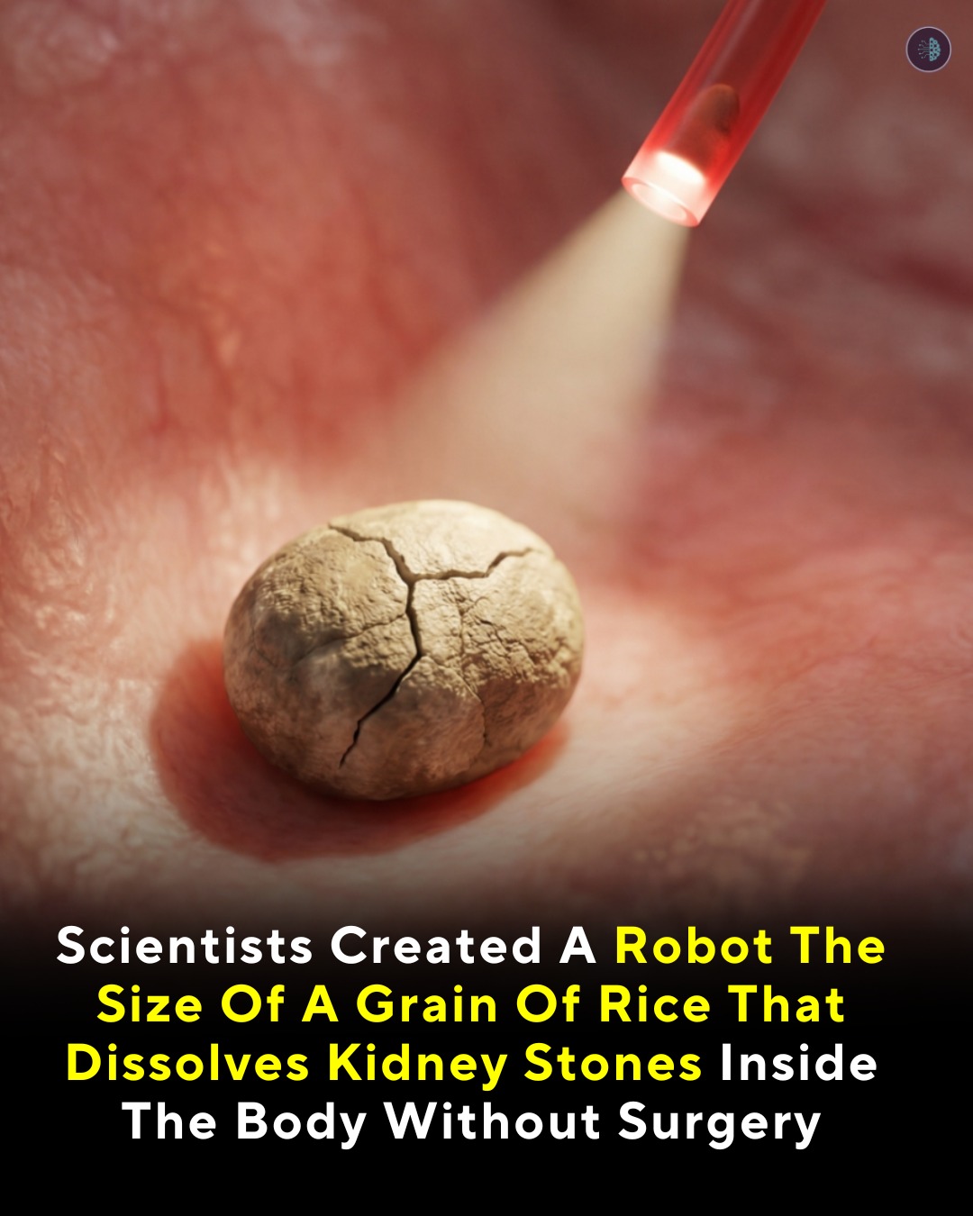 Science - Researchers at the University of Waterloo have developed a ...