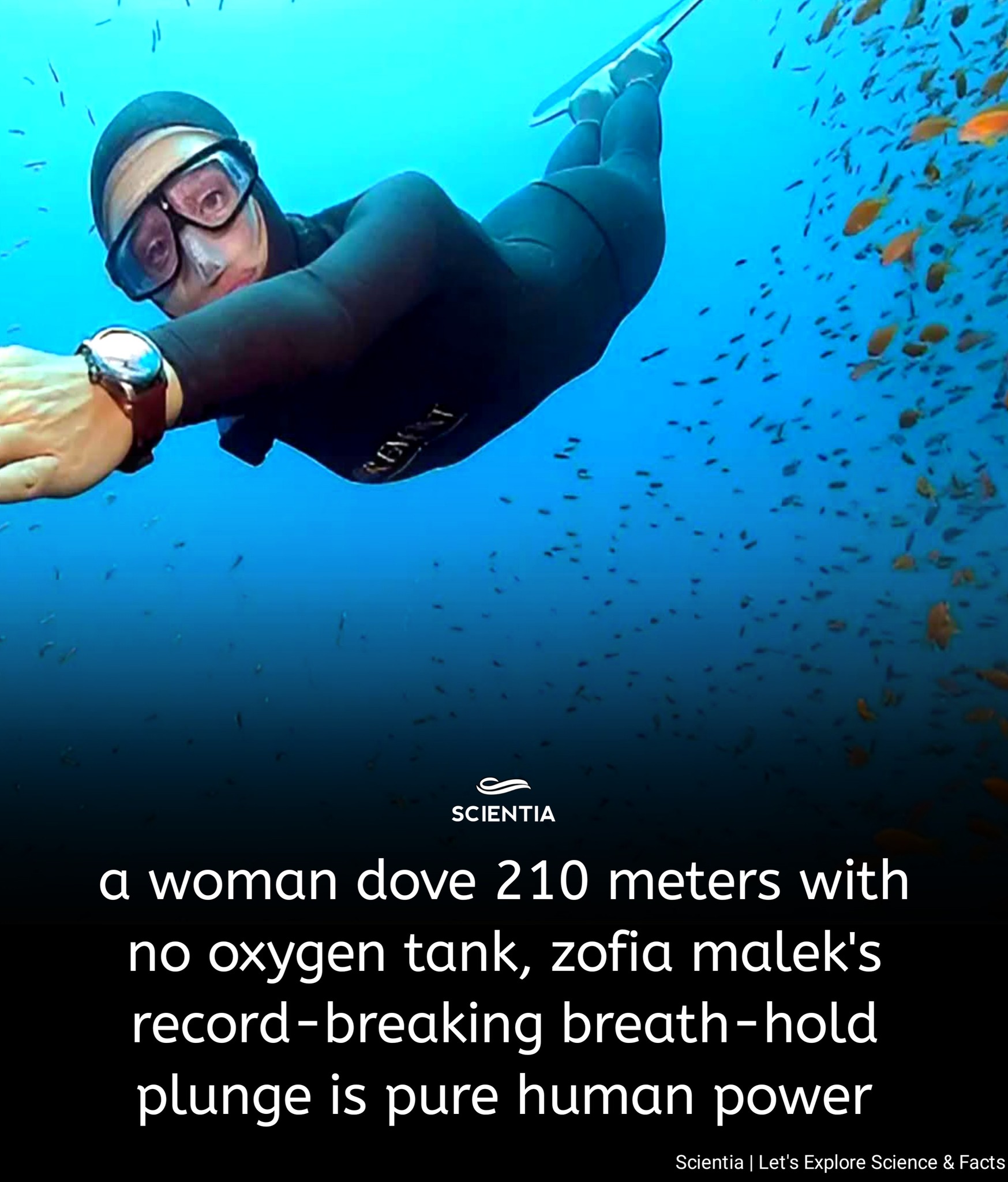 Zofia Malek sets record with 210-meter freedive without oxygen