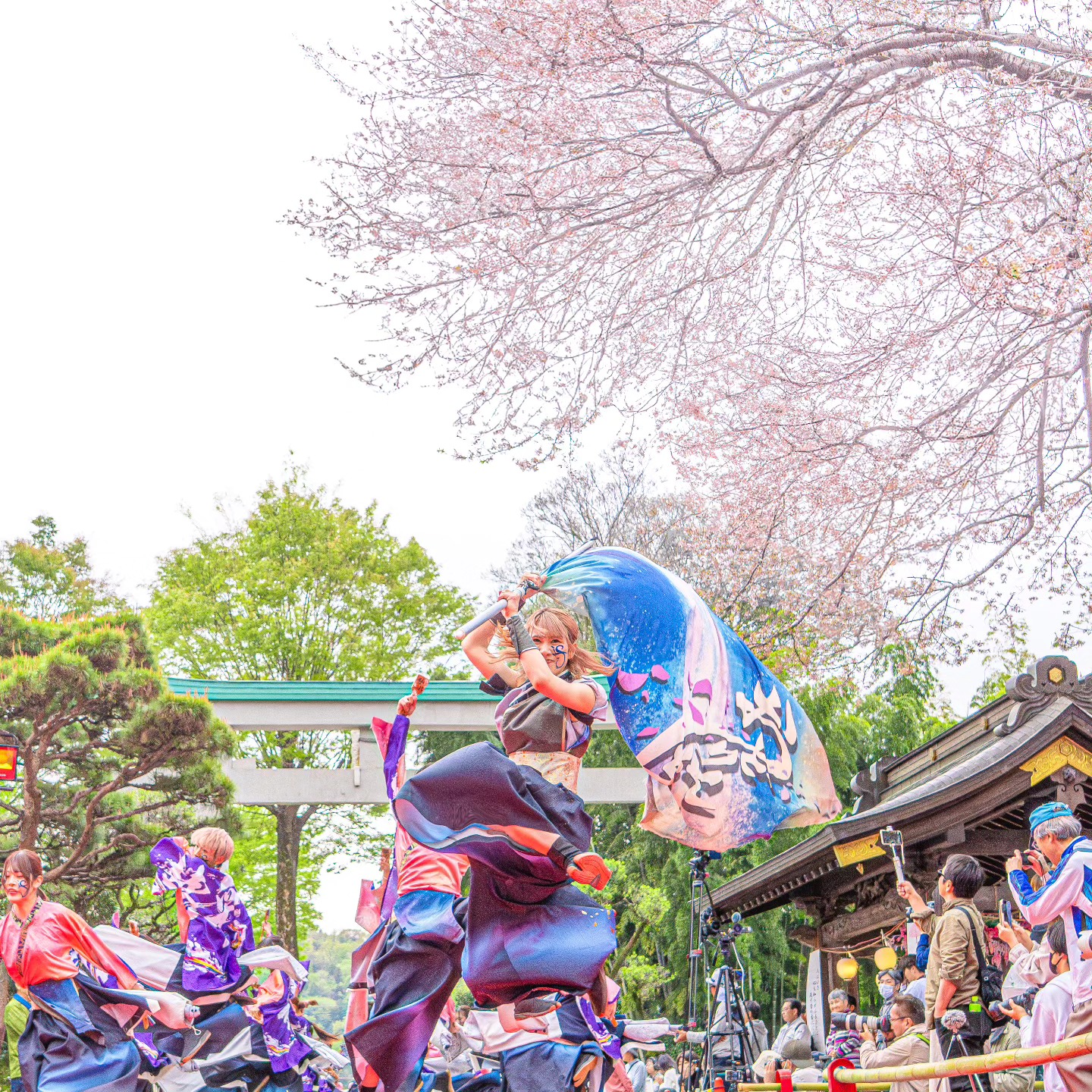 team IZUMO | Hadano-shi Kanagawa