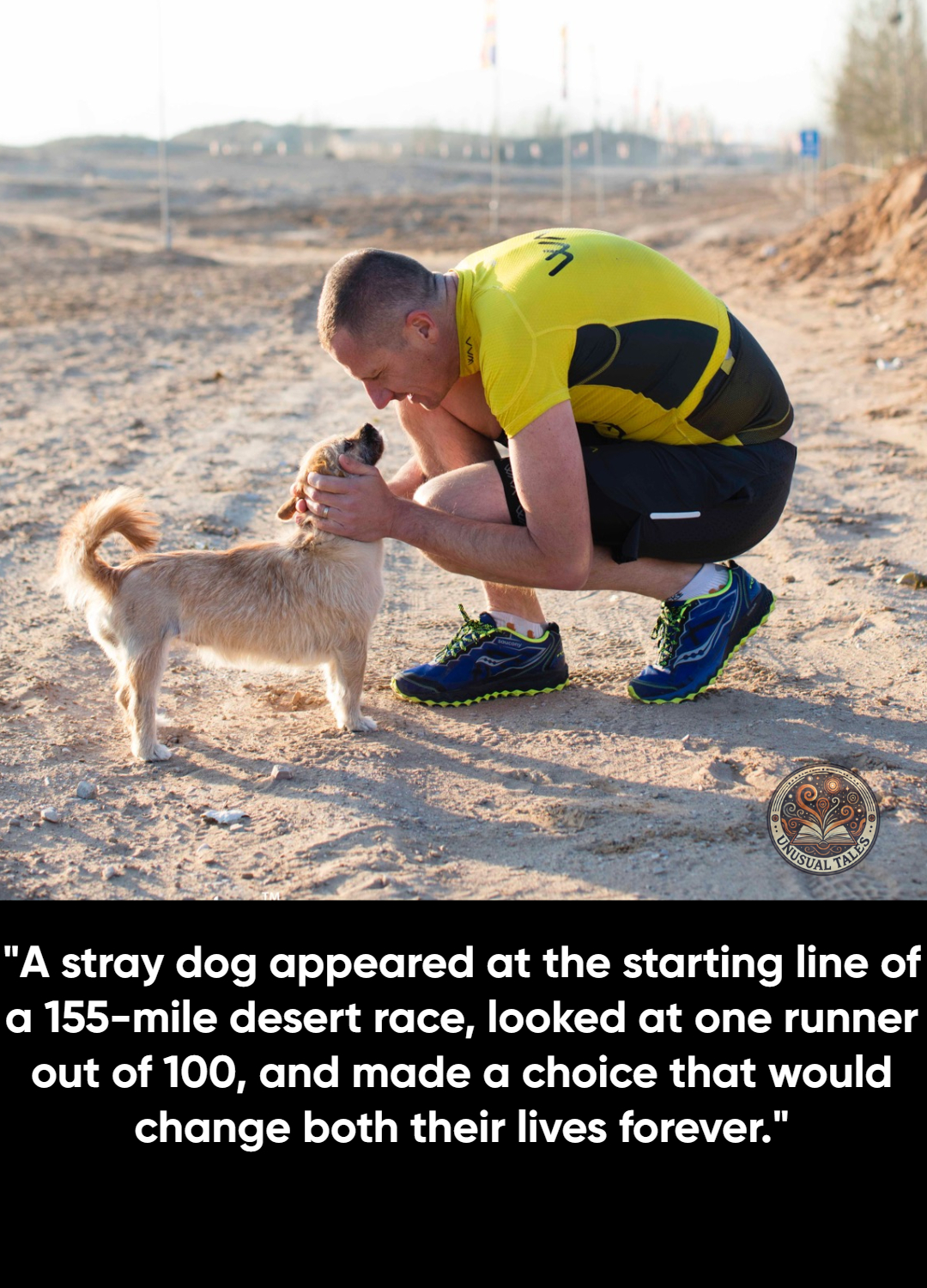 Unusual - Gobi Desert, China. June 2016. Dion Leonard stood at the ...