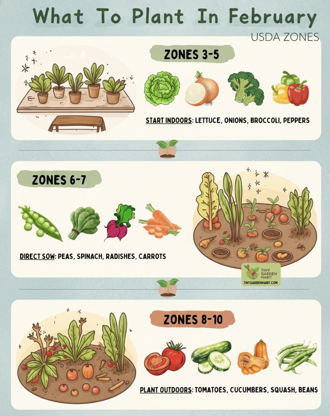 DIY - February planting can feel confusing; so here’s the simple way to ...