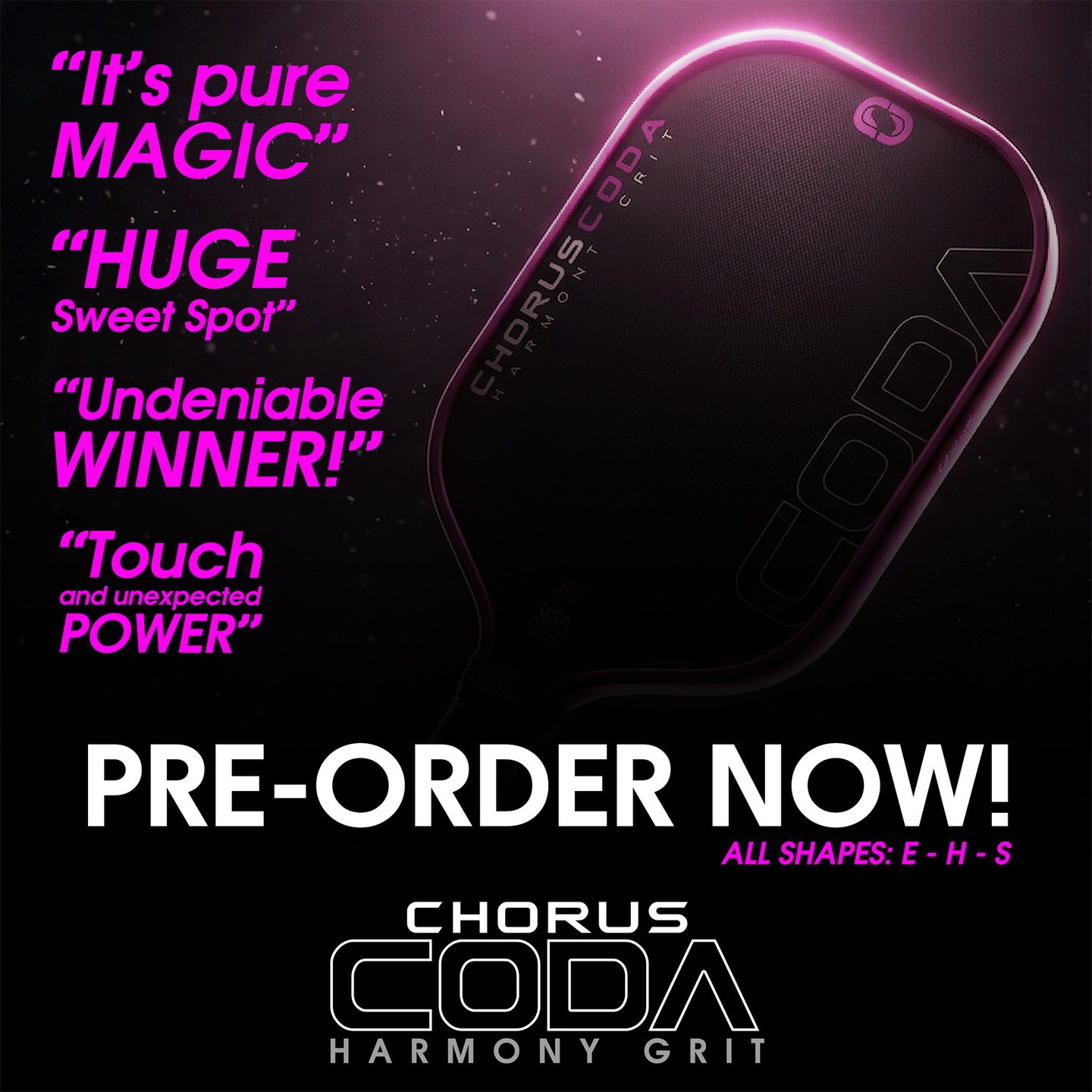 Chorus - Flawless victory ahead. Chorus Coda - February 17th. Get 