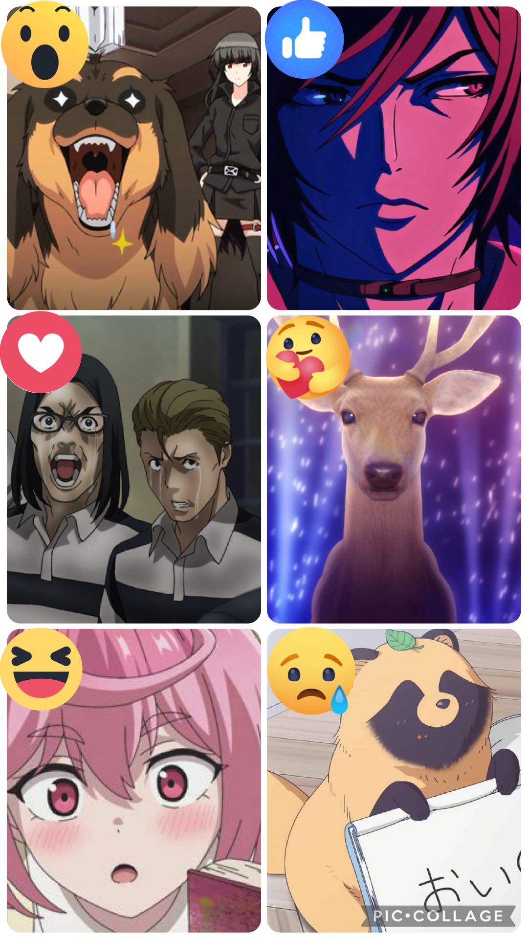 Anime | Manga | Dõujinshi | good mood and good day with cute dog