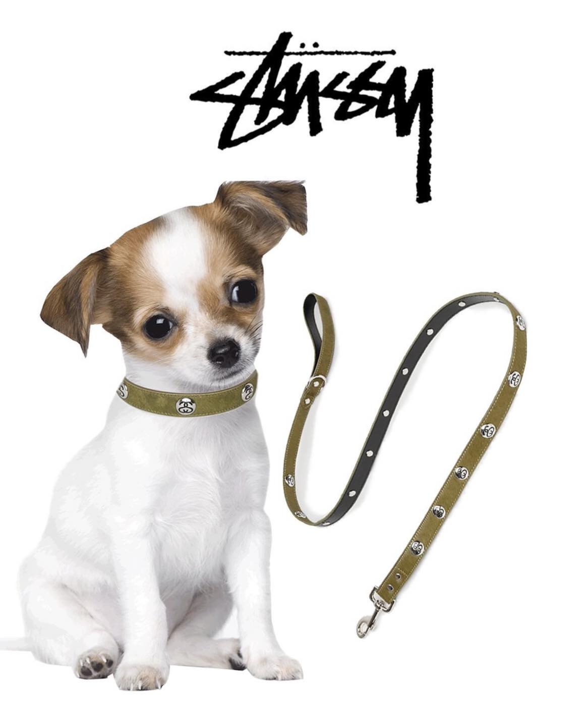 犬 STUSSY DOGLEASH 犬用品 STUSSY DOGLEASH