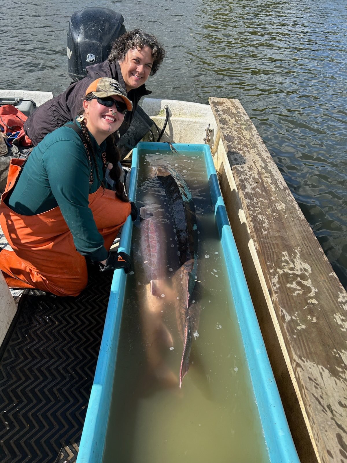 James River Sturgeon added a new photo. - James River Sturgeon