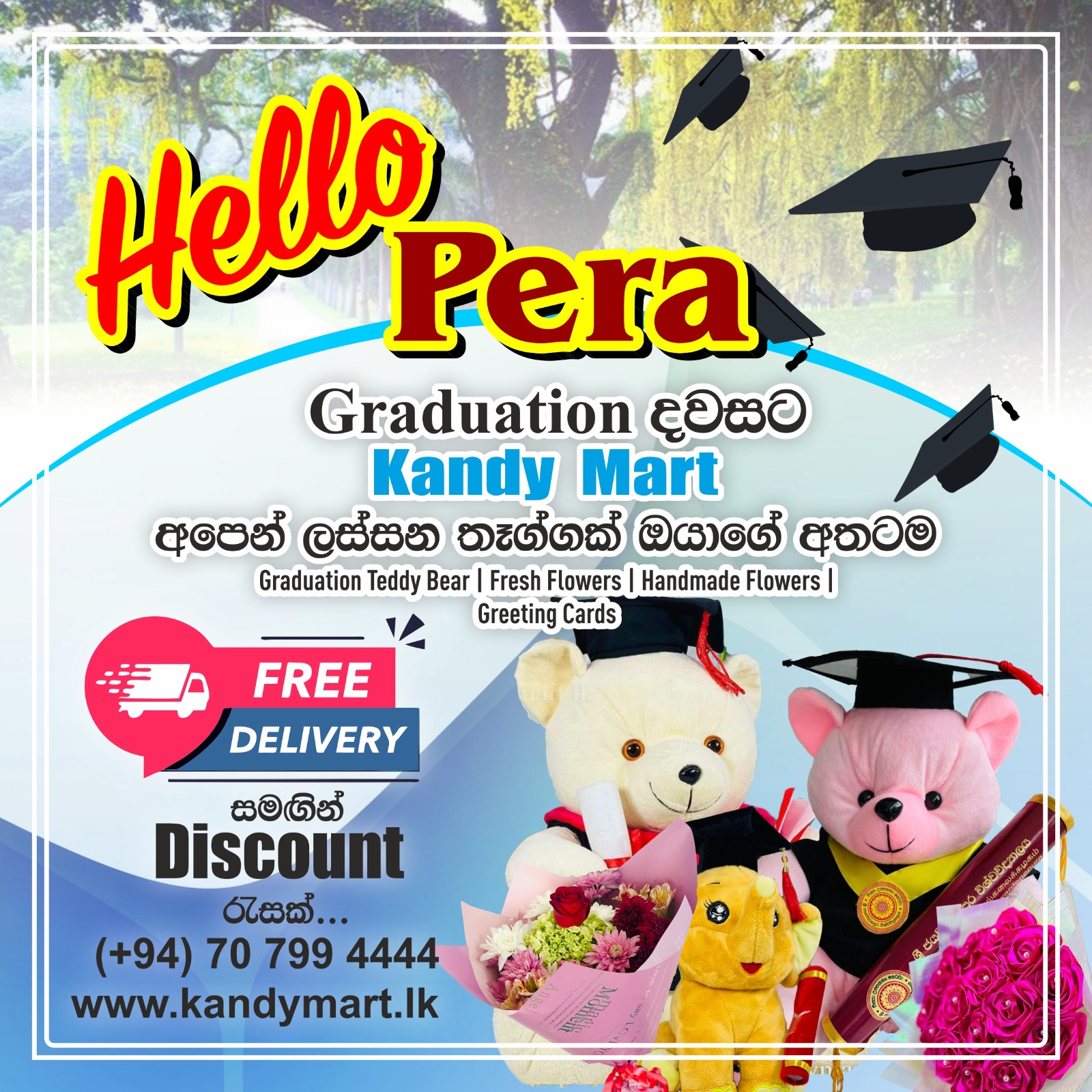 Kandymart teddy