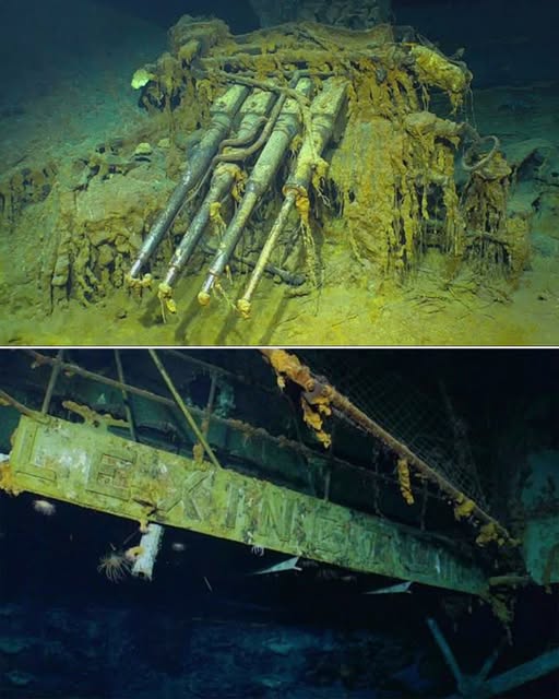 USS Lexington wreck discovered in Pacific Ocean