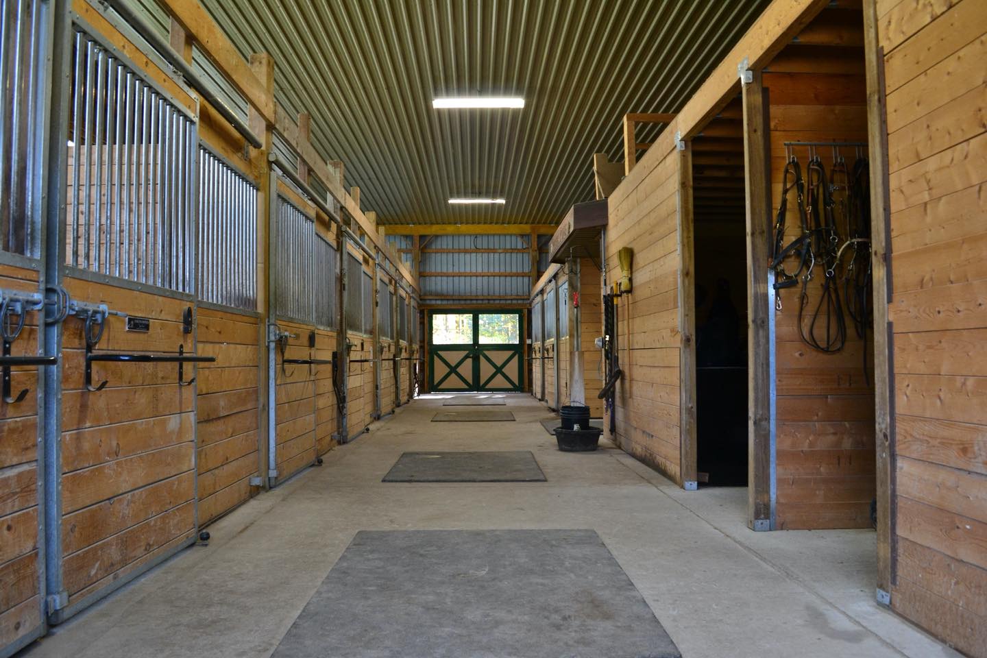 Reiners Ridge Riding School | Uxbridge ON