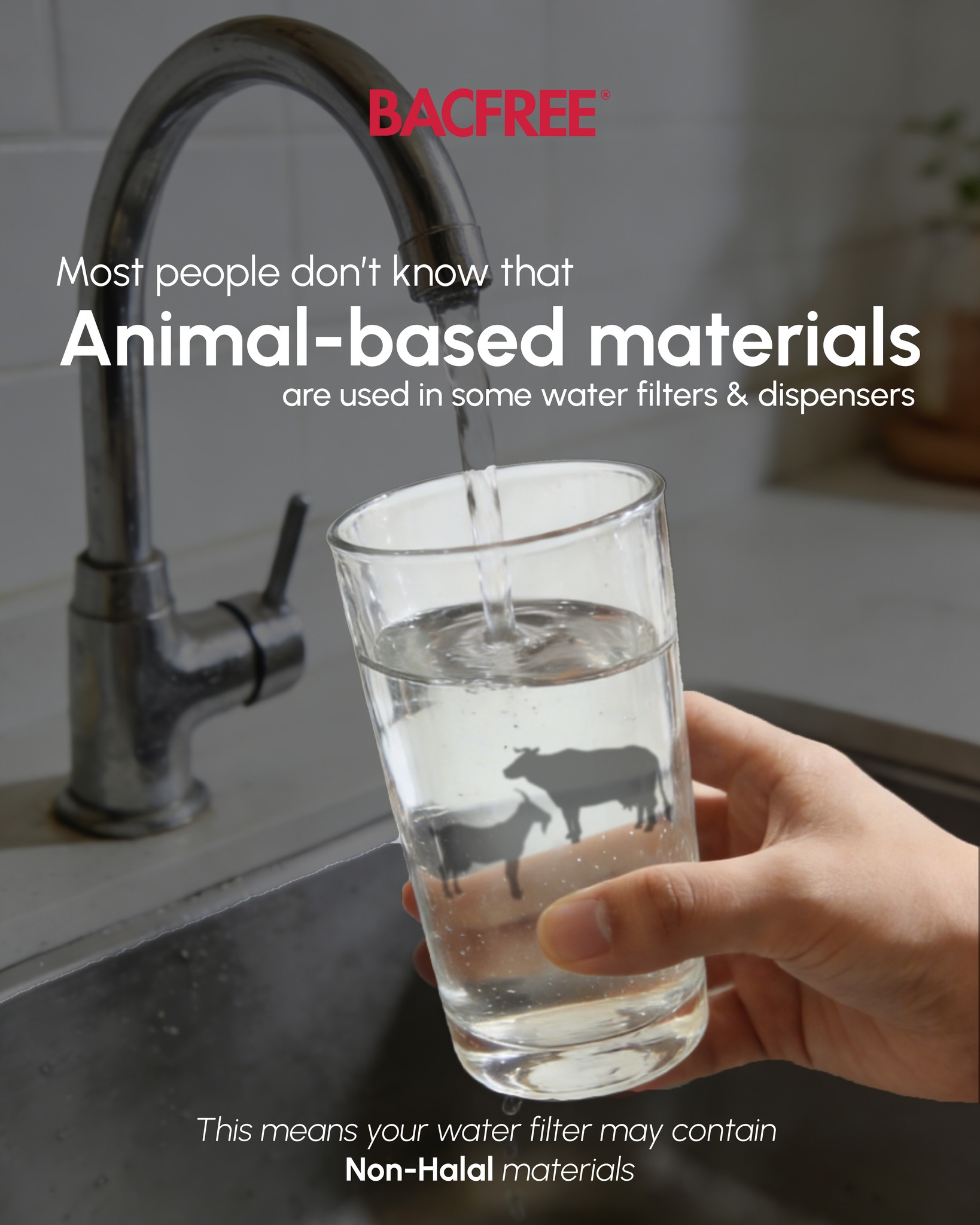 Actually, not all water filters & dispensers are Halal-compliant. Some activated carbon used in water filter is derived from animal-based materials, which may contain non-Halal materials. That's why Halal certification matters —