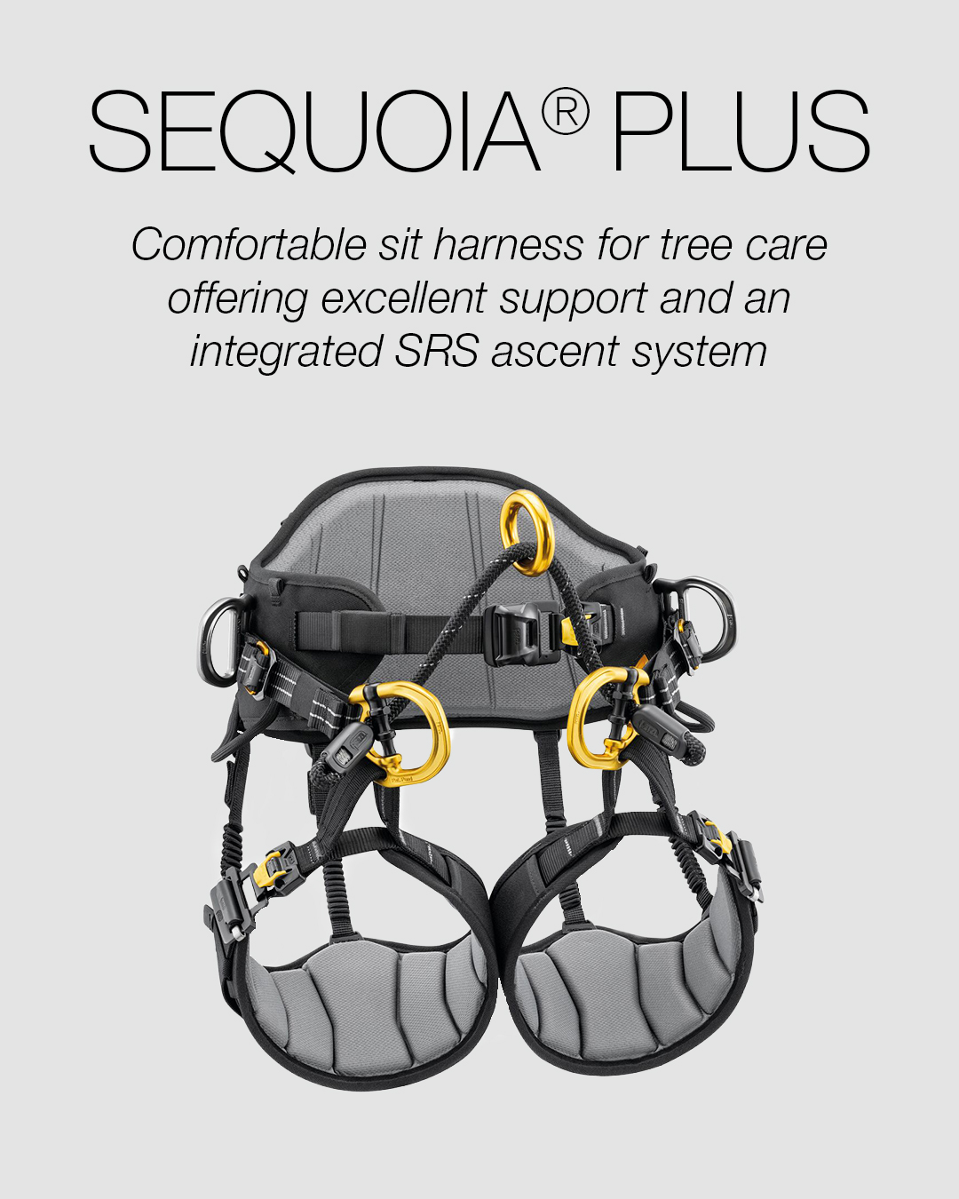 Petzl Sequoia Plus Harness | Sorbus International Ltd