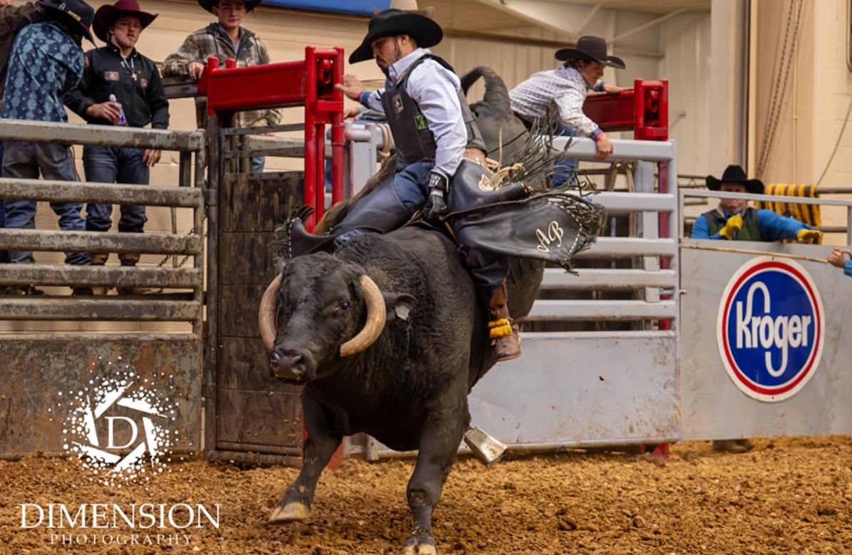 LIVE 🔴 Stampede Championship Rodeo 2026 | Facebook