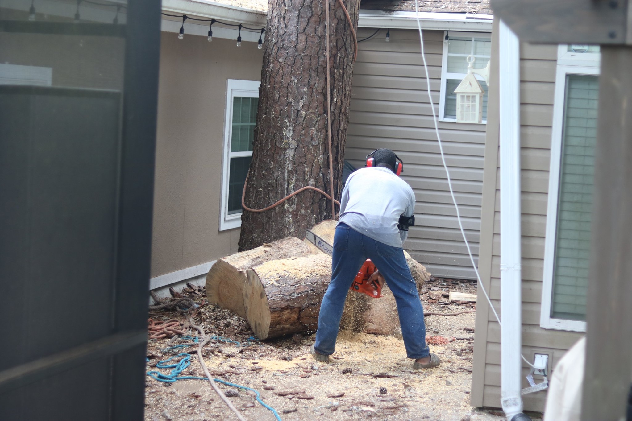 Allen's Tree Service | Samson AL