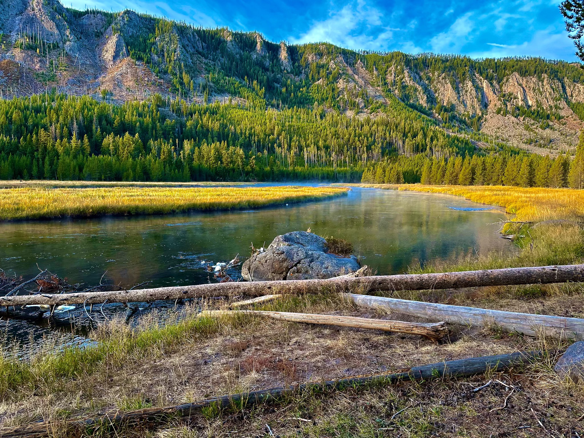 Visitors of the National Parks — Tourons and Yellowstone and Bears! Oh ...