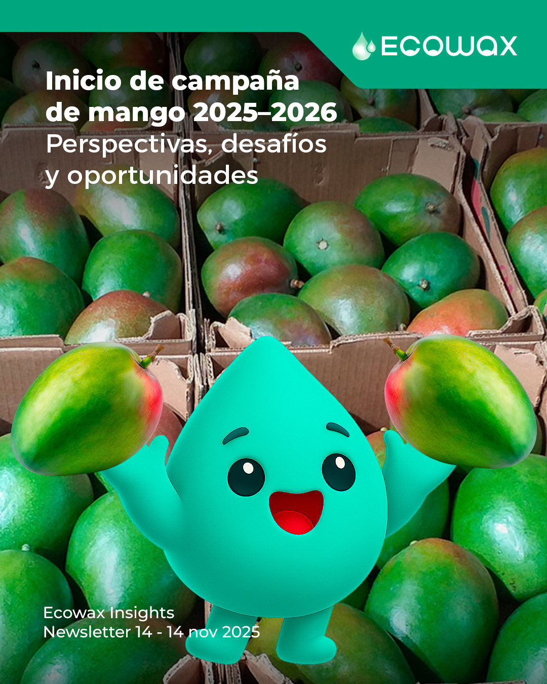Ecowax - 📈🥭 Arranca la campaña de mango 2025–2026 en el norte del Perú ...