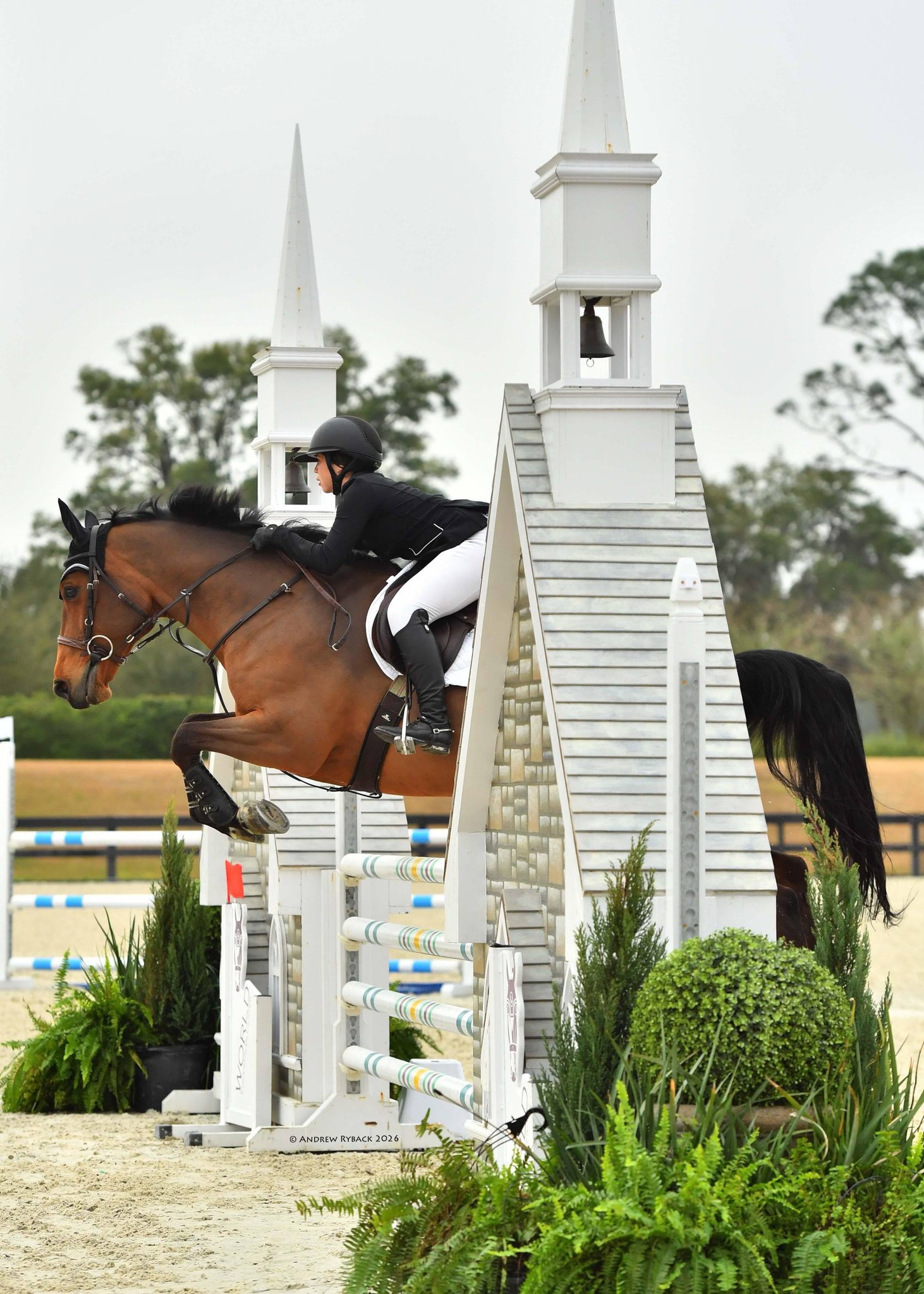 Pear Tree Show Stable | Pittstown NJ