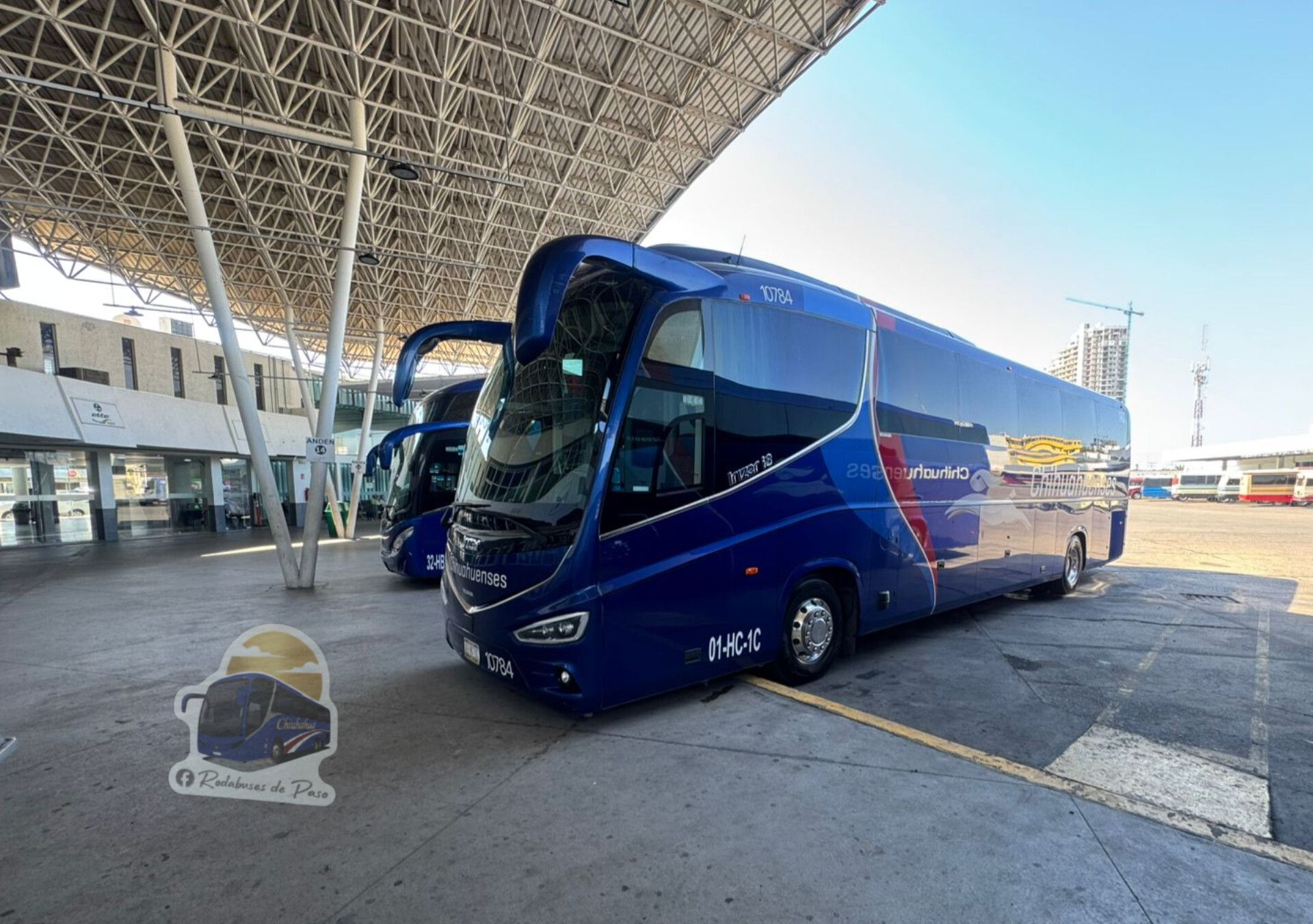 roda buses de paso