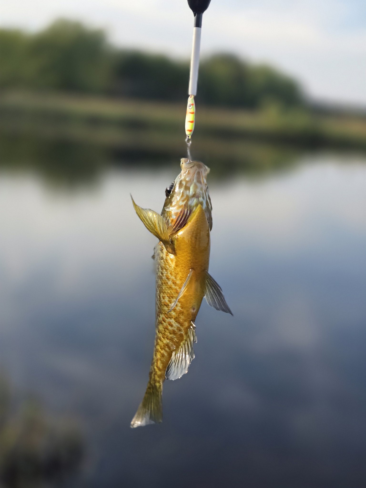 cool fish hook Single H2O Cruiser Streamer Fly – A.J.'s Custom Products hemp wrapping This beer can has instructions