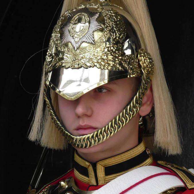 #kingsguard #lifeguards #military #horseguardparade #londonkinghorse # ...
