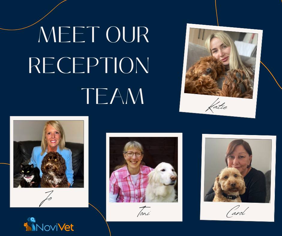 NoviVet - Meet our amazing Reception team! 📞💻 The friendly faces behind ...