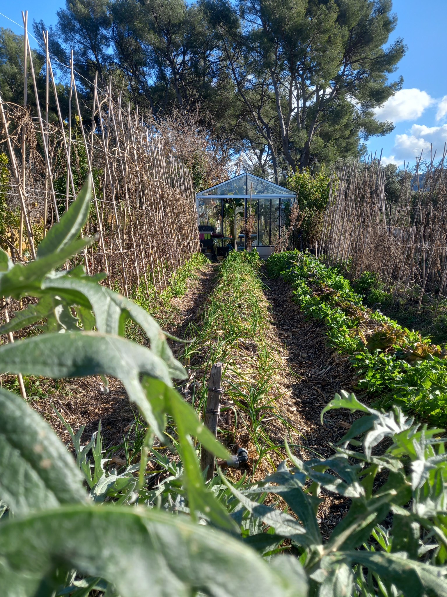 Le chemin verst | Le Castellet