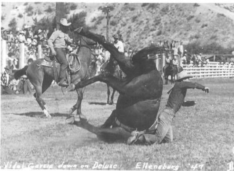 Rodeo - In a very dramatic fall during this Ellensburg Rodeo bare back ...