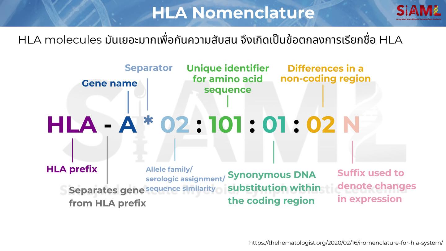 Hematology in my memory