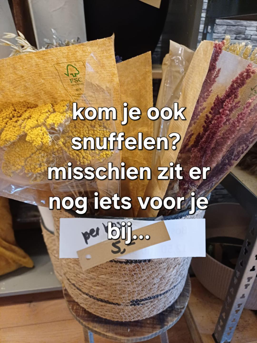 In den Uylenbal - In den Uylenbal added a new photo — at...