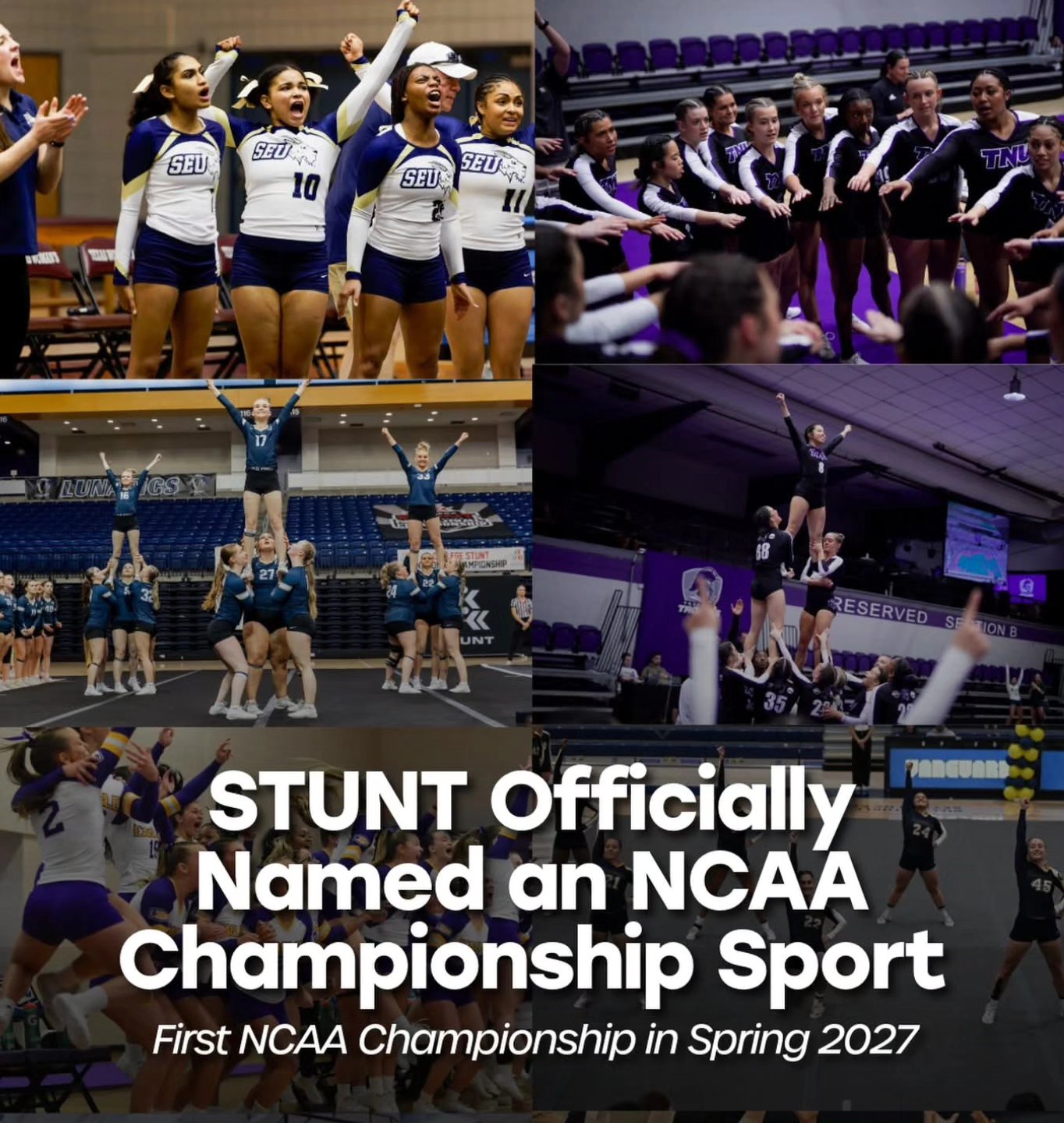 TNT Club STUNT