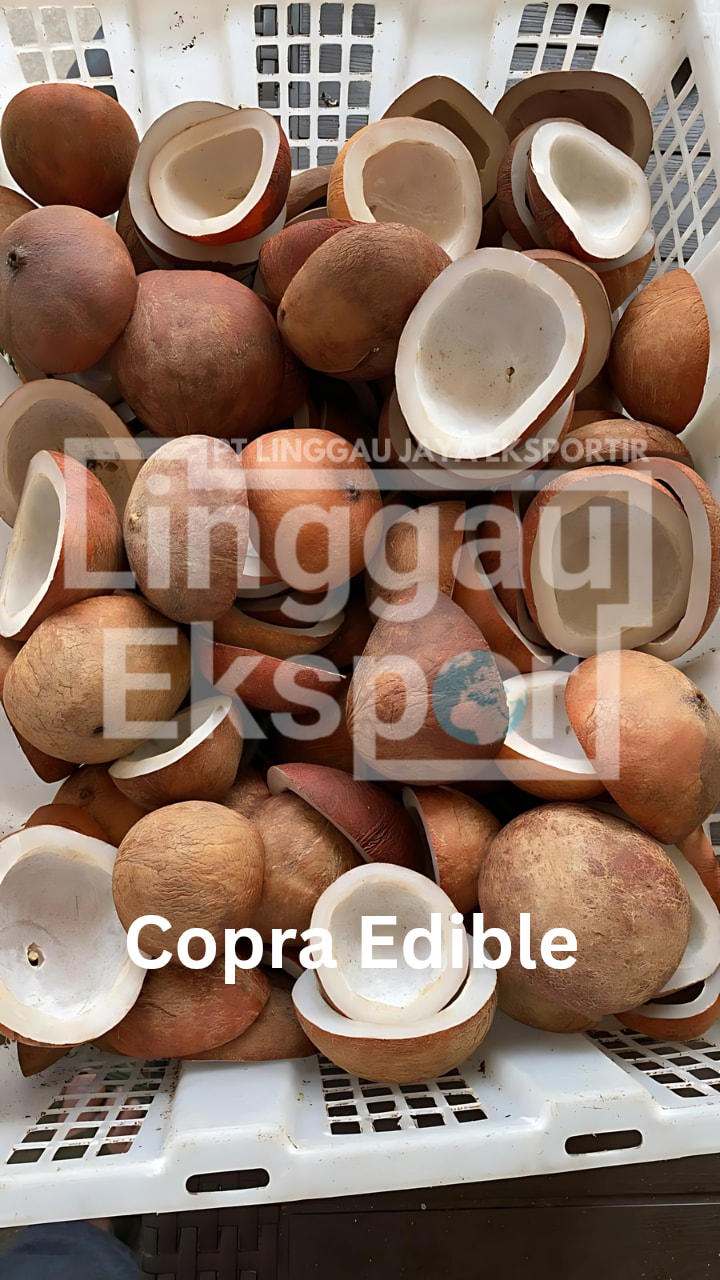 Coconut Shell Buyer | Discover Premium White Copra & Regular Copra from ...