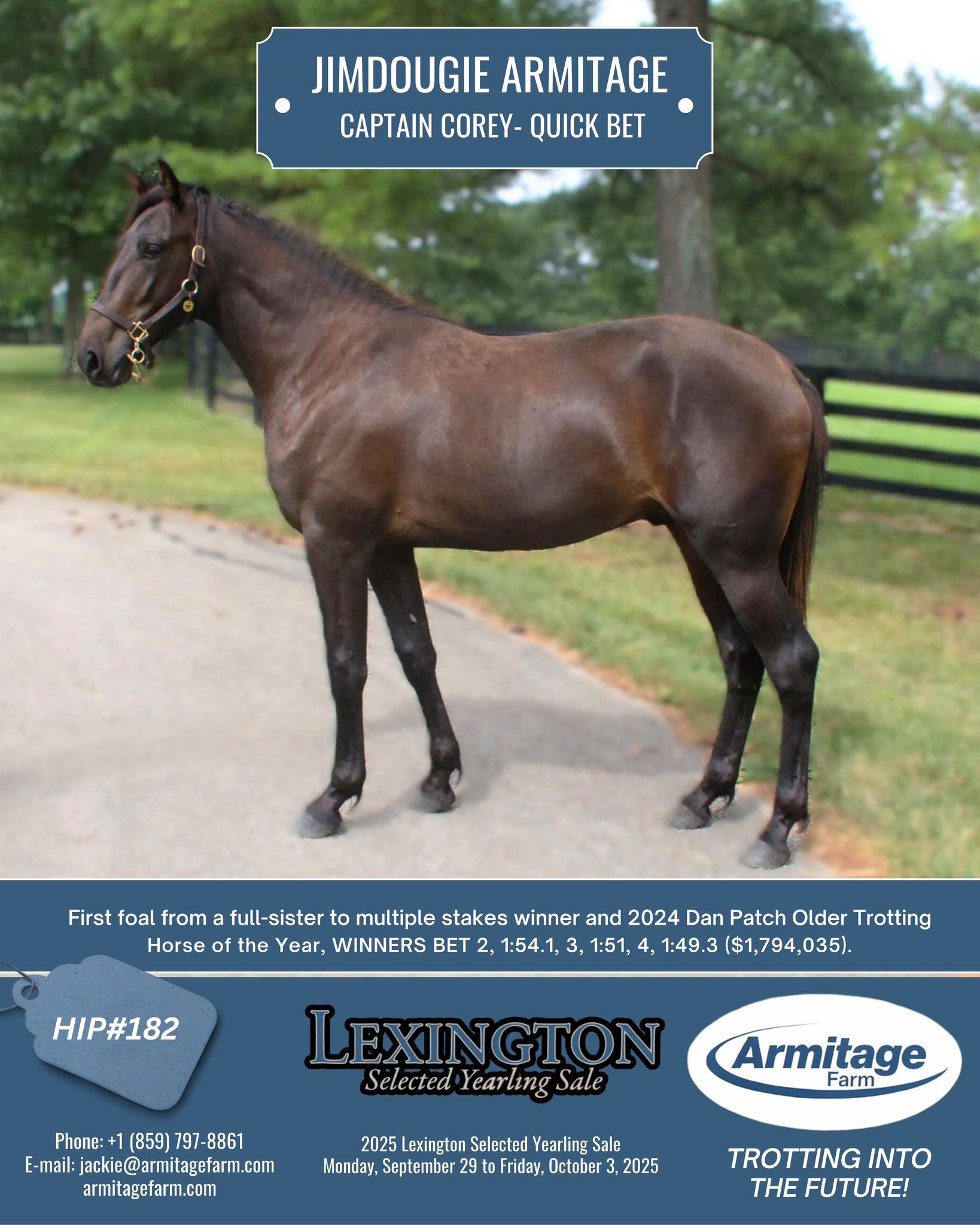 Armitage - Armitage Farm will be selling a 𝗖𝗮𝗽𝘁𝗮𝗶𝗻 𝗖𝗼𝗿𝗲𝘆 - 𝗤𝘂𝗶𝗰𝗸 𝗕𝗲𝘁 𝐛𝐲 ...
