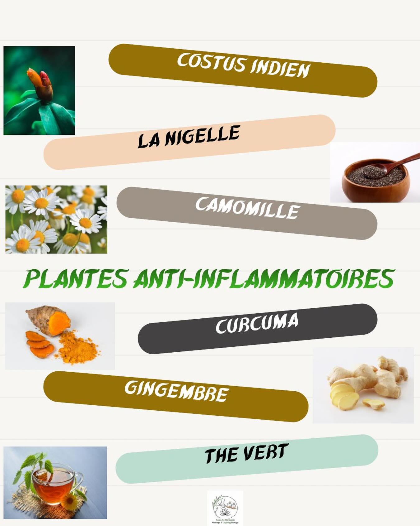 Soins En Harmonie - 🌿 PLANTES ANTI-INFLAMMATOIRES🌿 L’inflammation peut ...