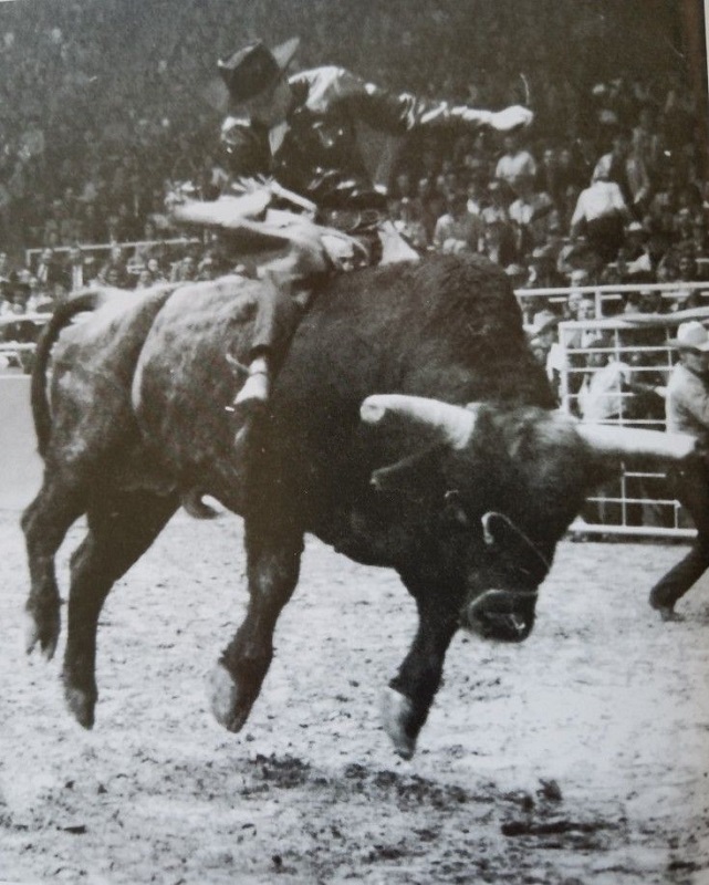 Rodeo - Jim Shoulders at age 31 of Henryetta Oklahoma on Harry Vold's ...