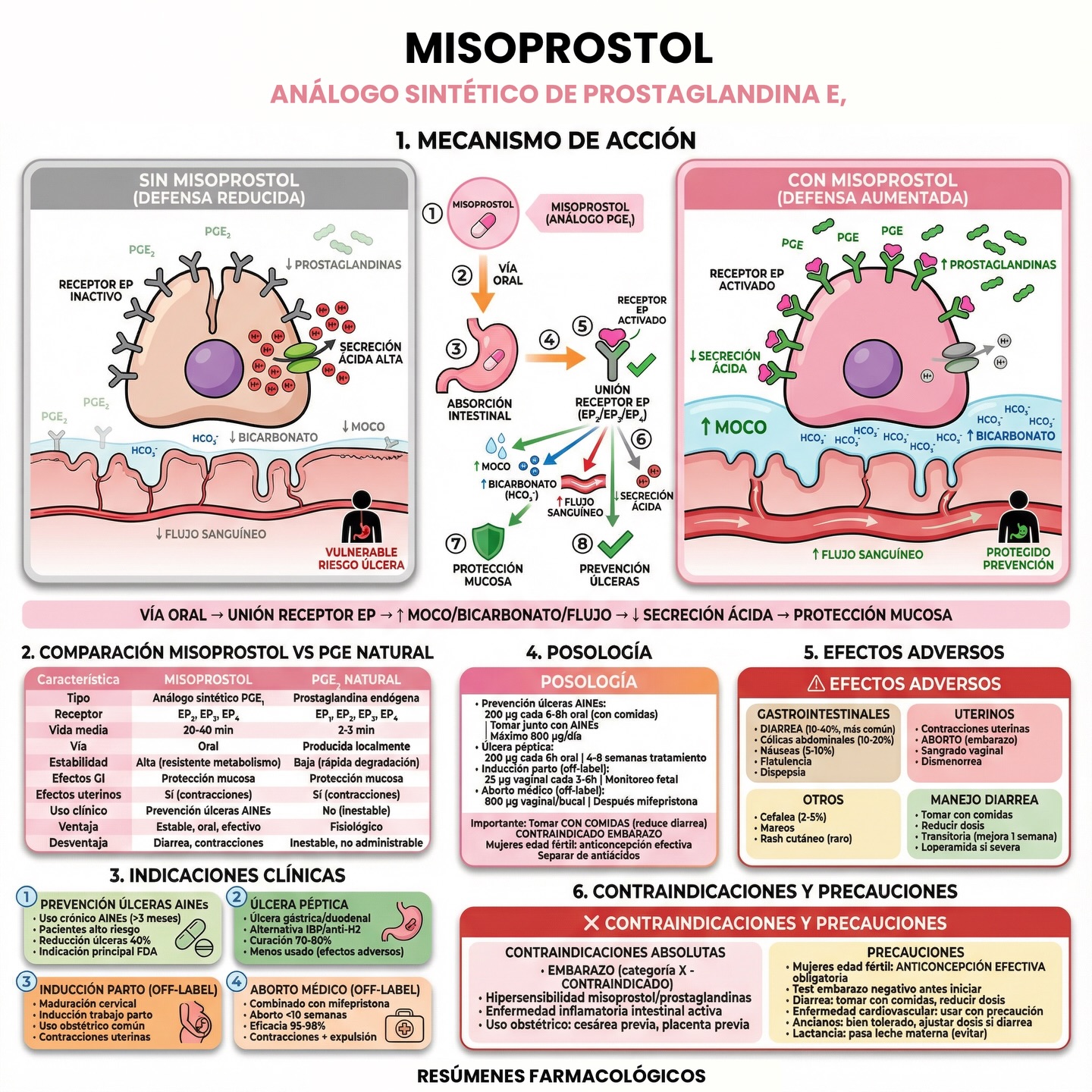 Resúmenes - Misoprostol - Datos clave Mecanismo de acción • Análogo ...