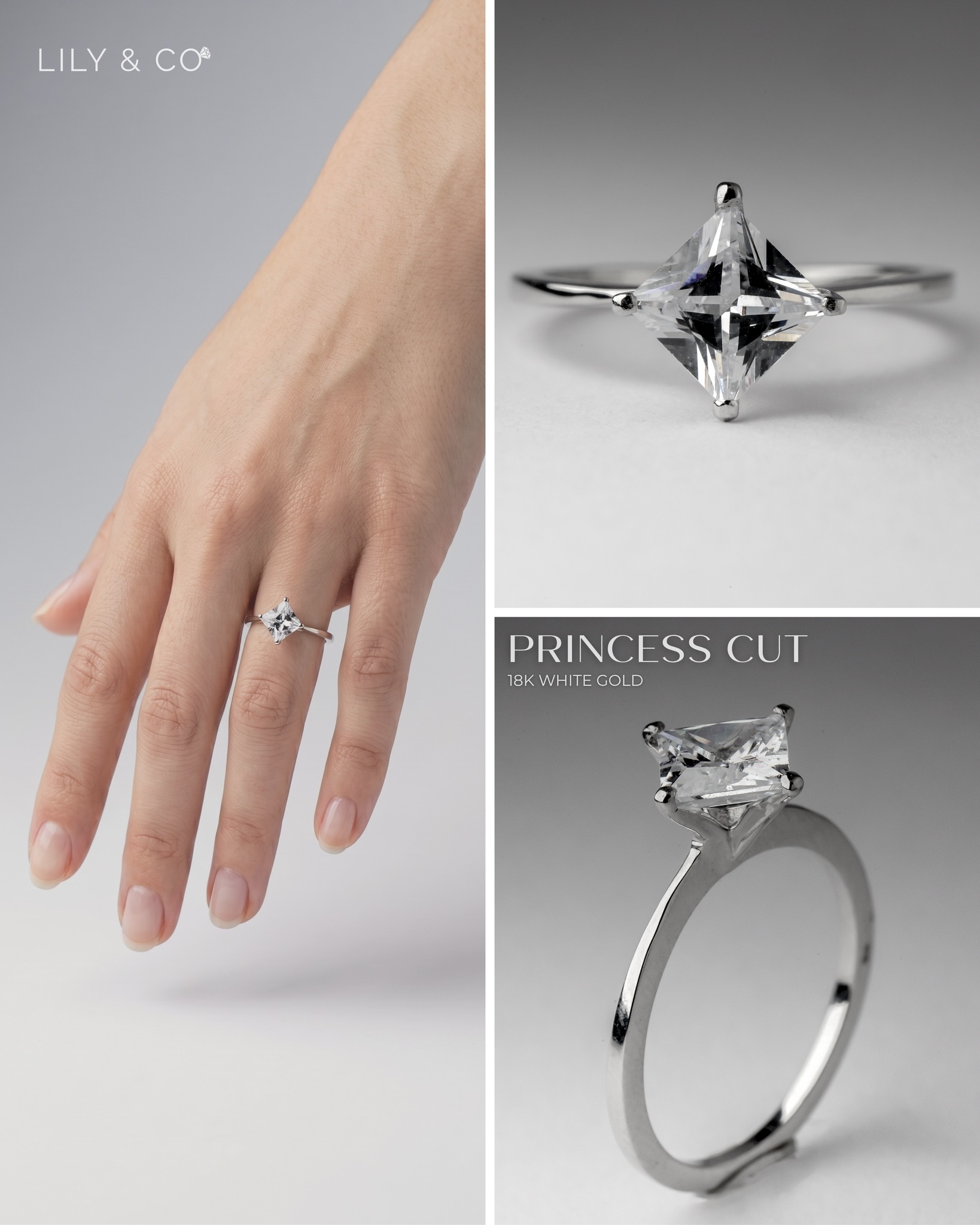 Lily & Co. Engagement Rings | Angeles City