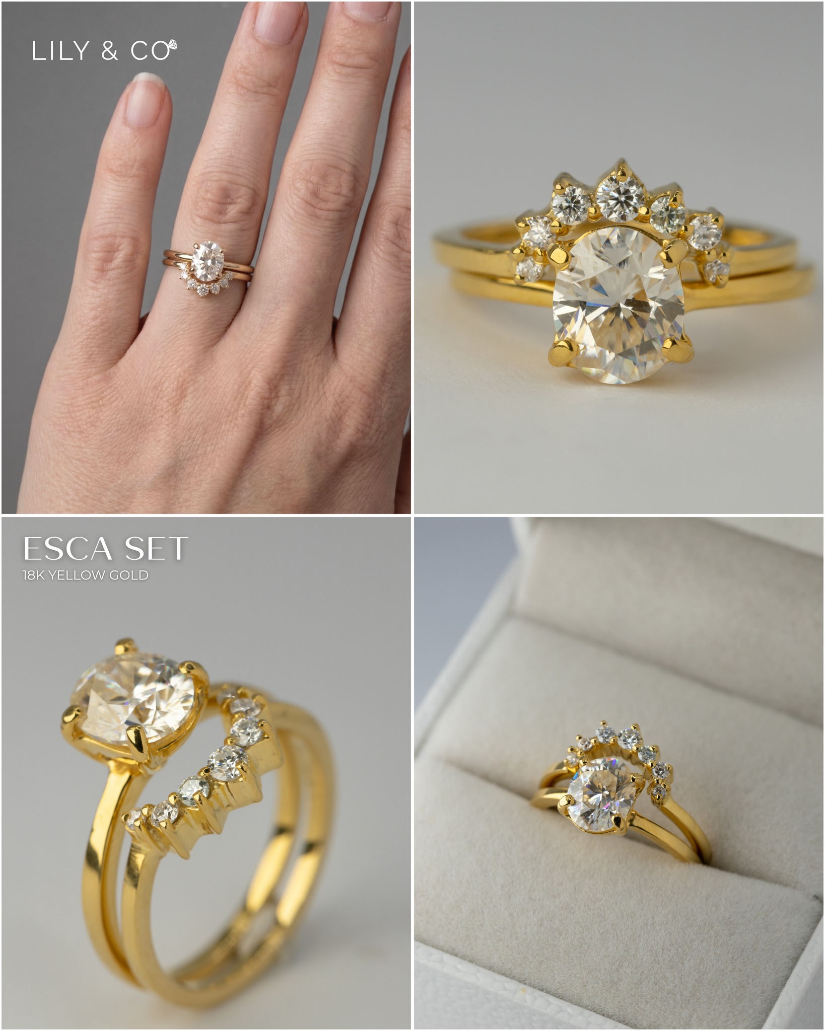 Lily & Co. Engagement Rings | Angeles City