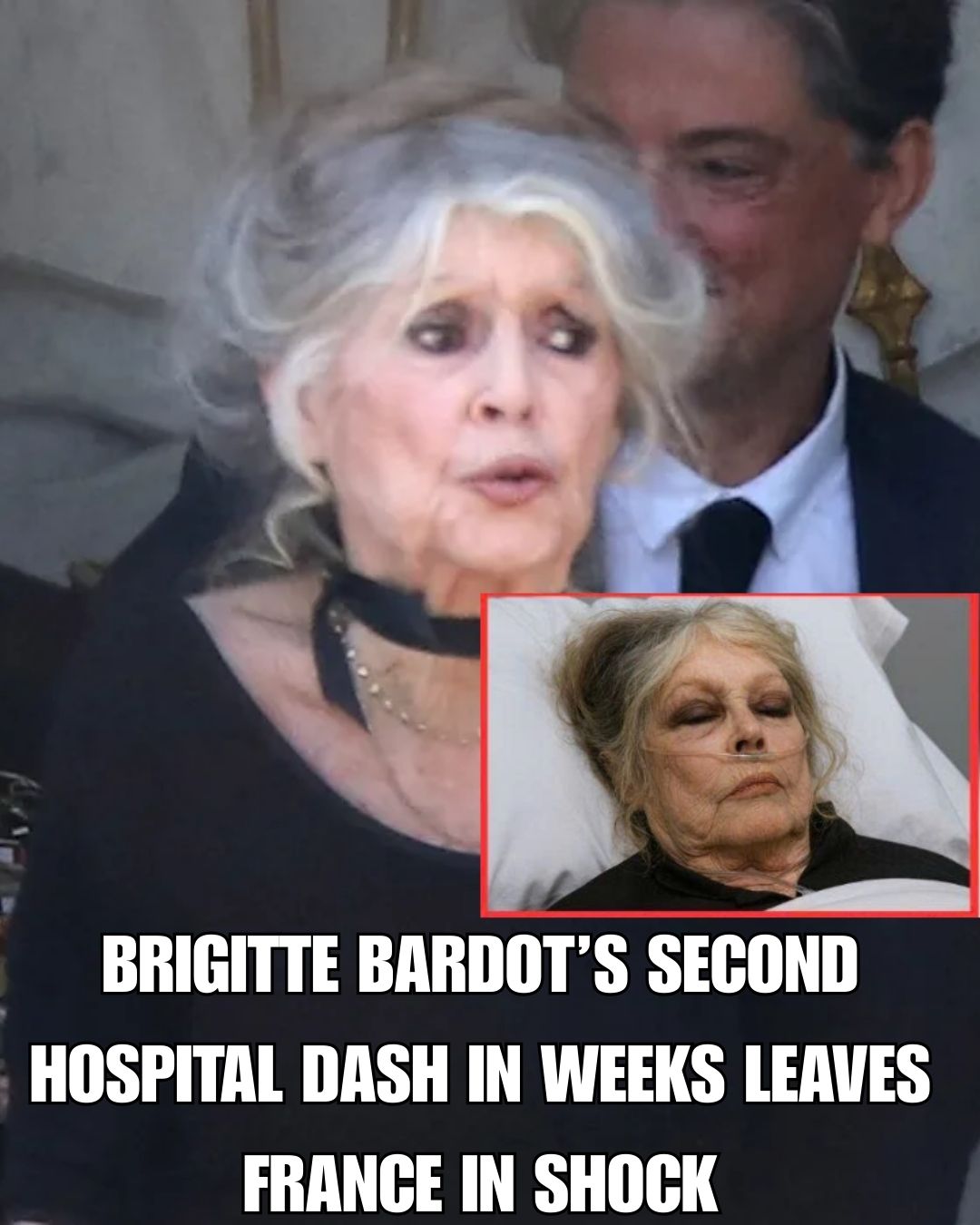 US - 🔗 READ NOW: https://buff.ly/ls0Mcvf 🔥💥 SHOCKING: Brigitte Bardot ...
