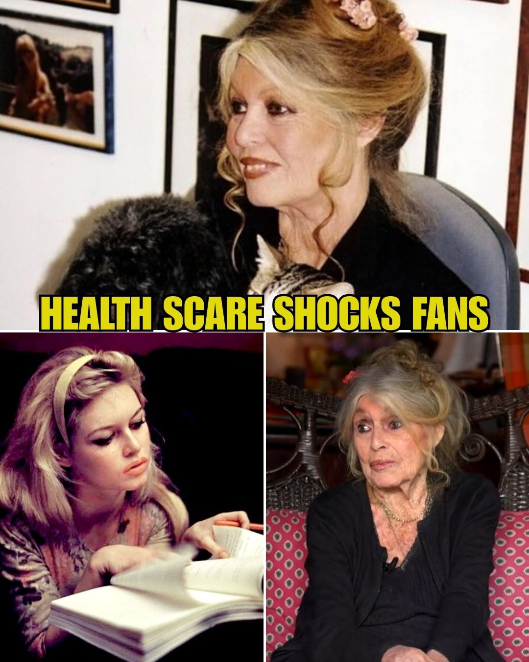US - > SEE NOW: https://buff.ly/l6jVbIl Brigitte Bardot, the legendary ...