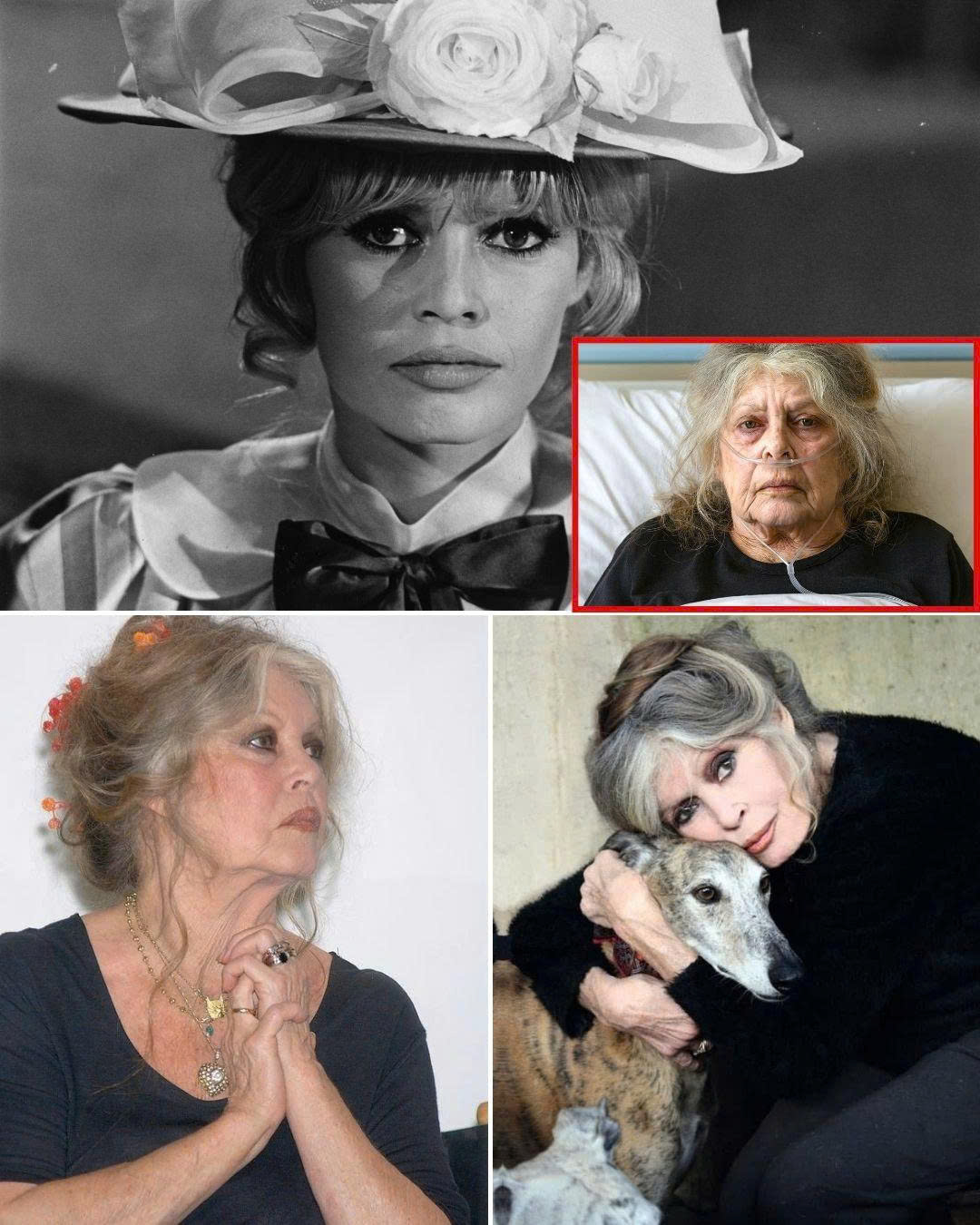 US - 🔥🔥 MORE: https://buff.ly/O7bjE7d 🔥 BRIGITTE BARDOT BREAKS HER ...