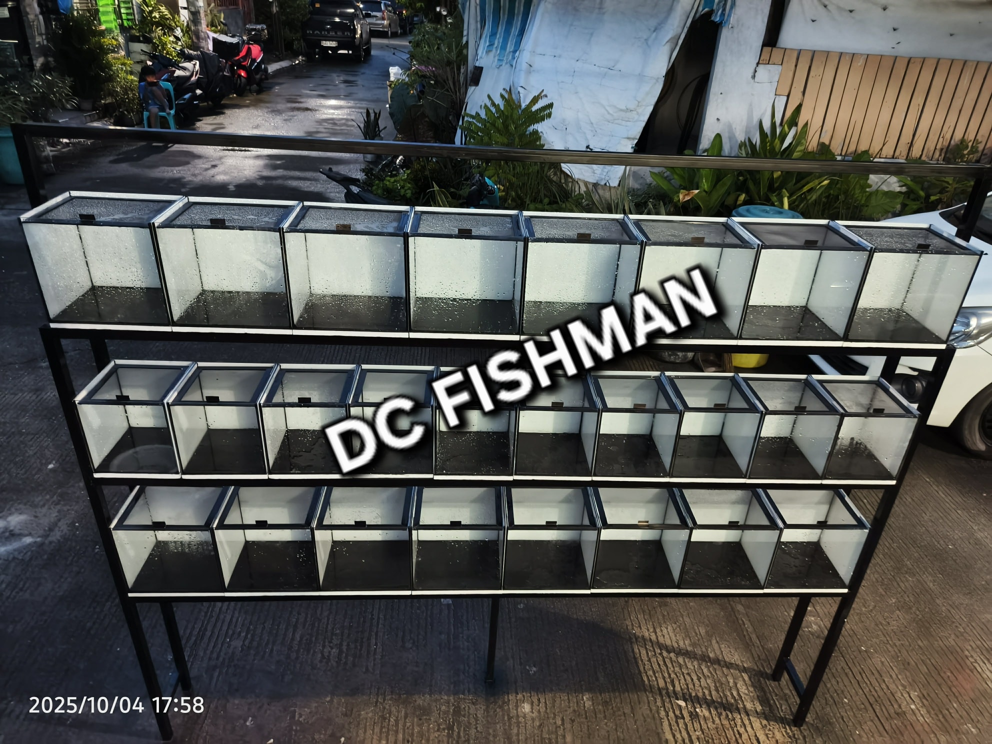 DC Fishman | Imus