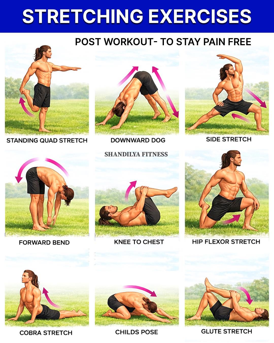 Suraj - 🔸 Post Workout Stretching Exercises If you want to stay pain ...