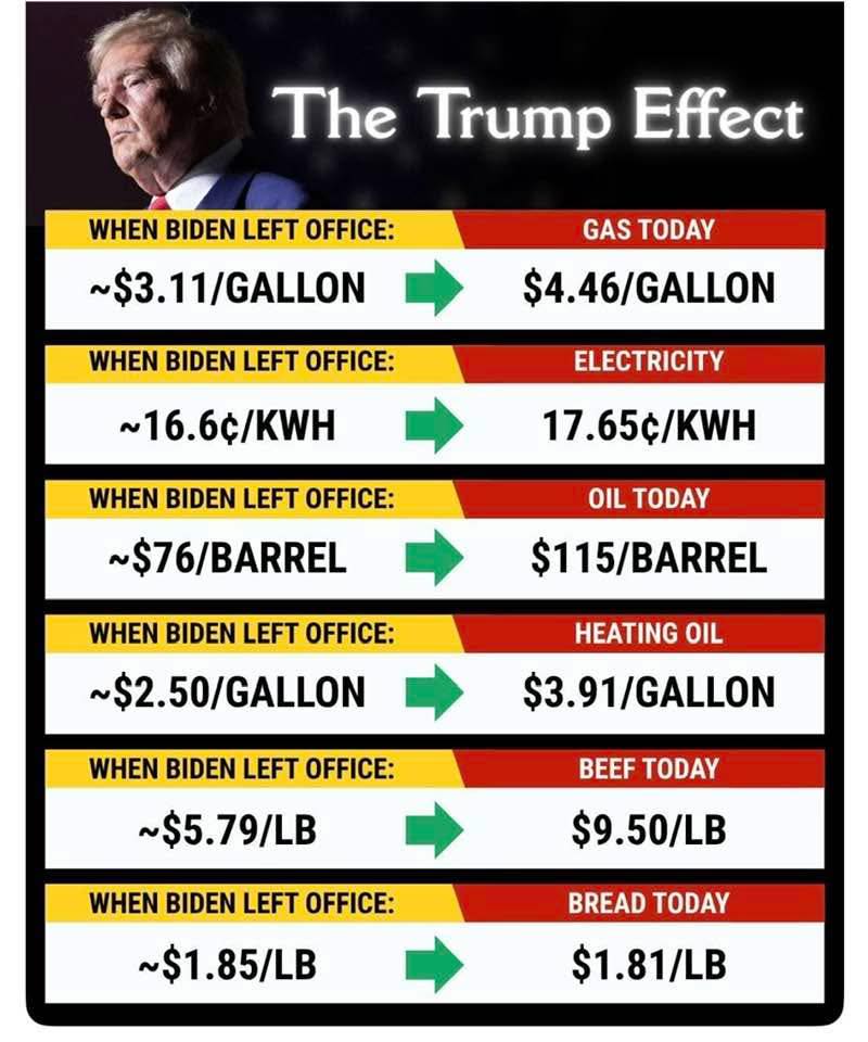 bullshit　824340 No Amount of Bullshit can change the TRUTH 📌.