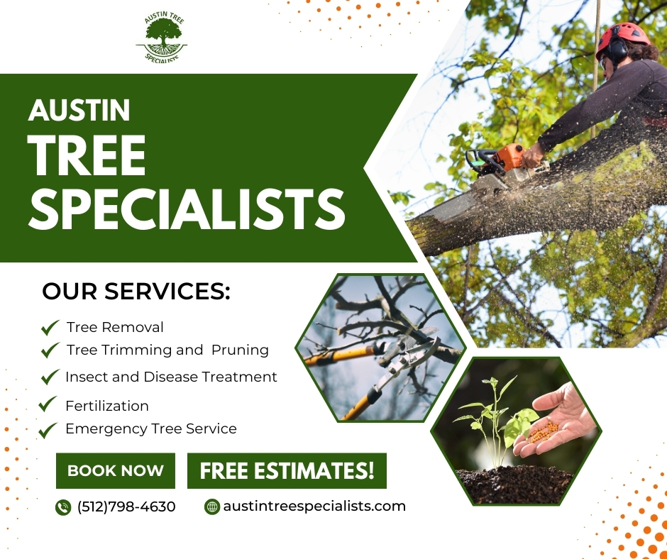Austin Tree Specialists | Austin TX