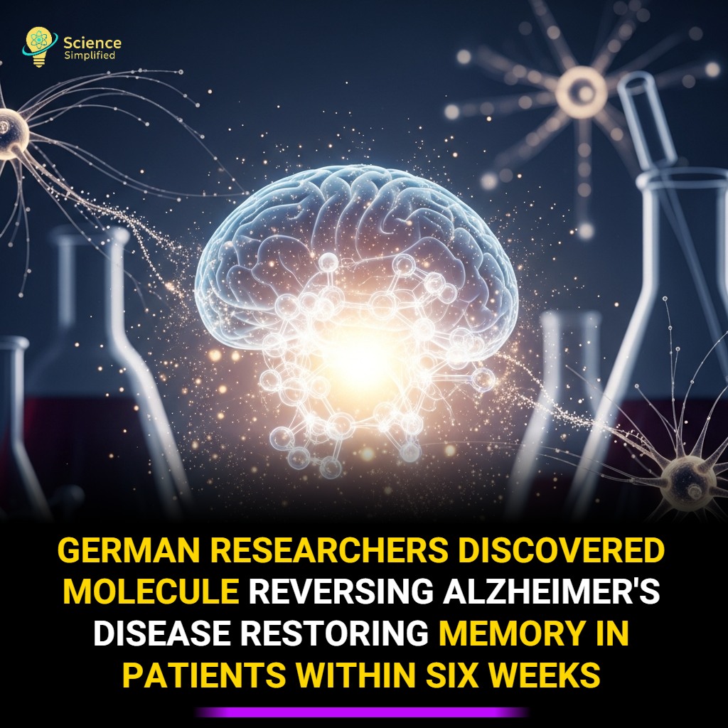 Science - German researchers discovered molecule reversing Alzheimer's ...