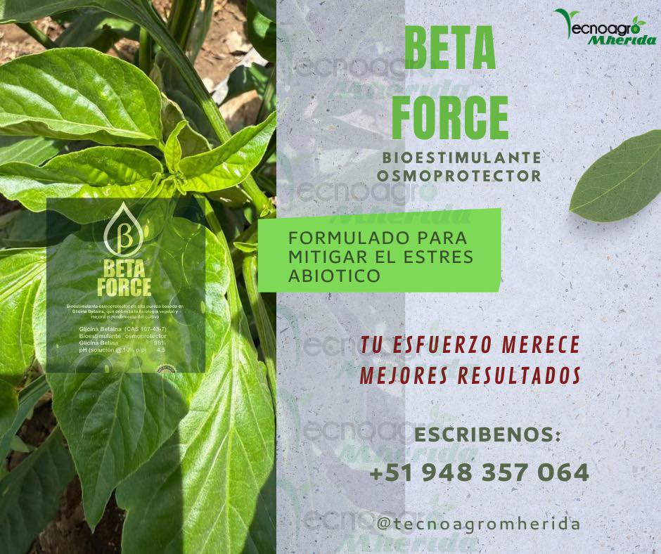 Tecnoagro Mherida EIRL | Majes