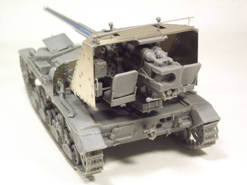 Brach Model