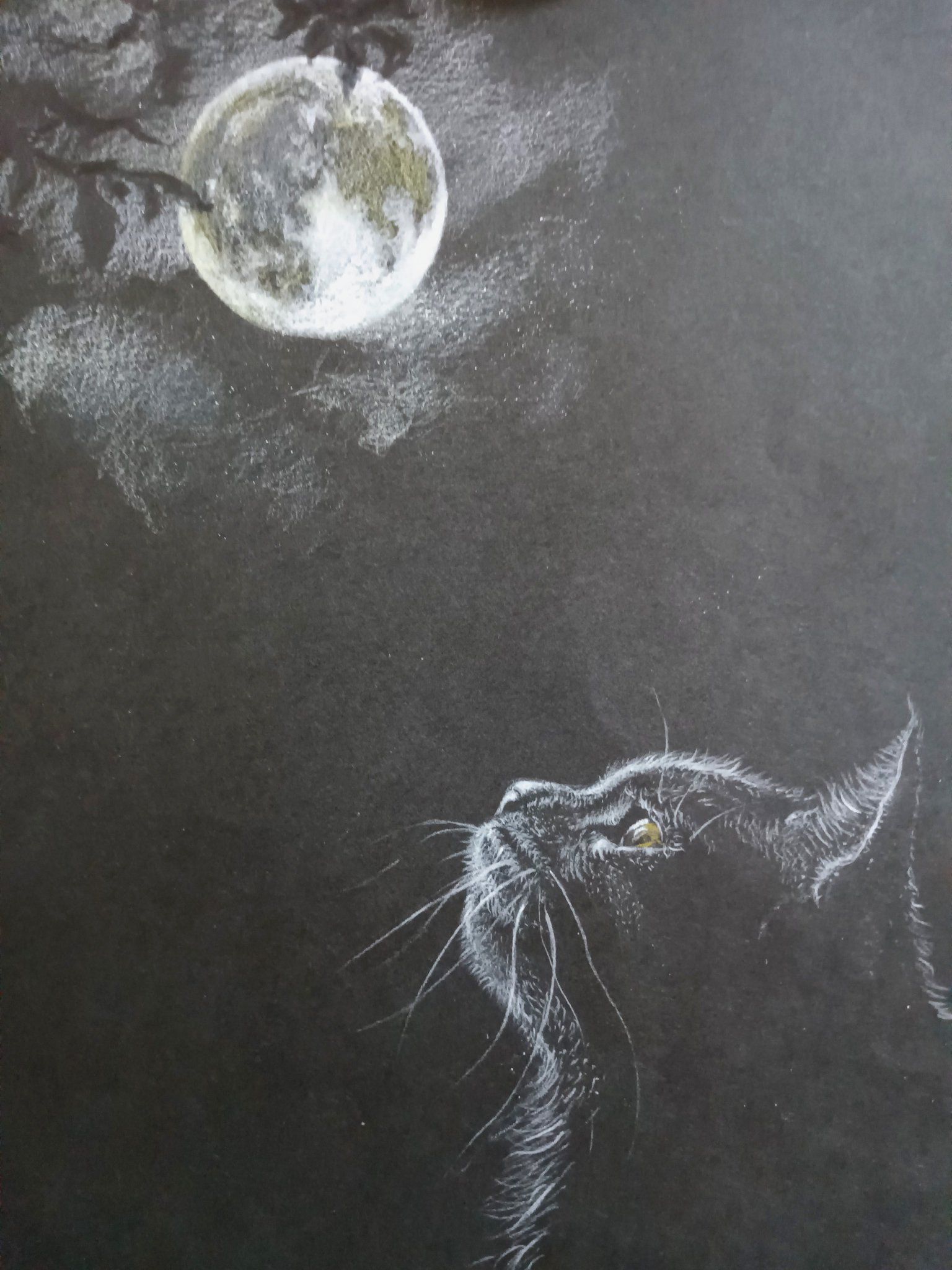 お邪魔しま～す！☺️ 色鉛筆画（白、黄） 名月を愛でる猫ちゃんです❗️