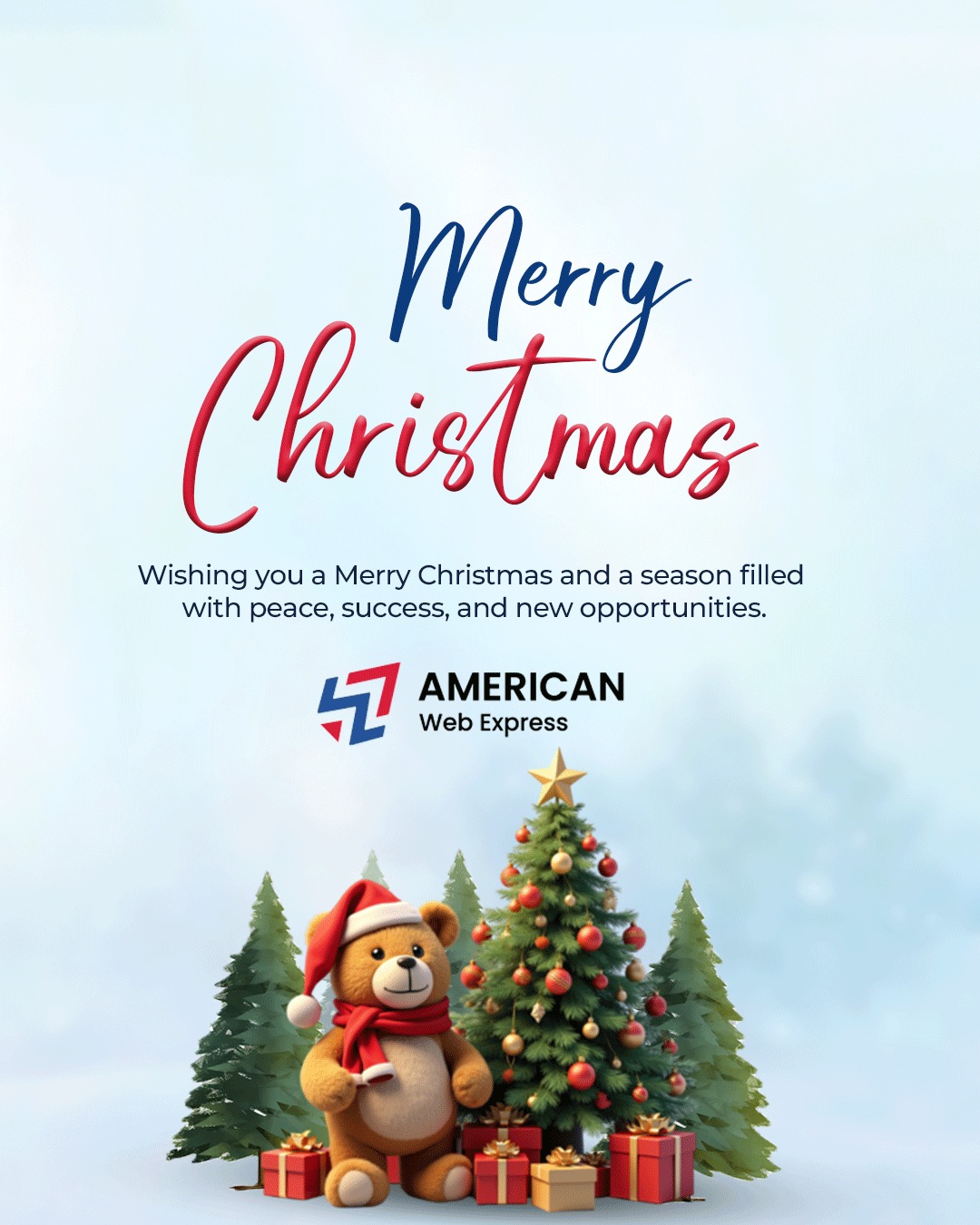 American Web Express