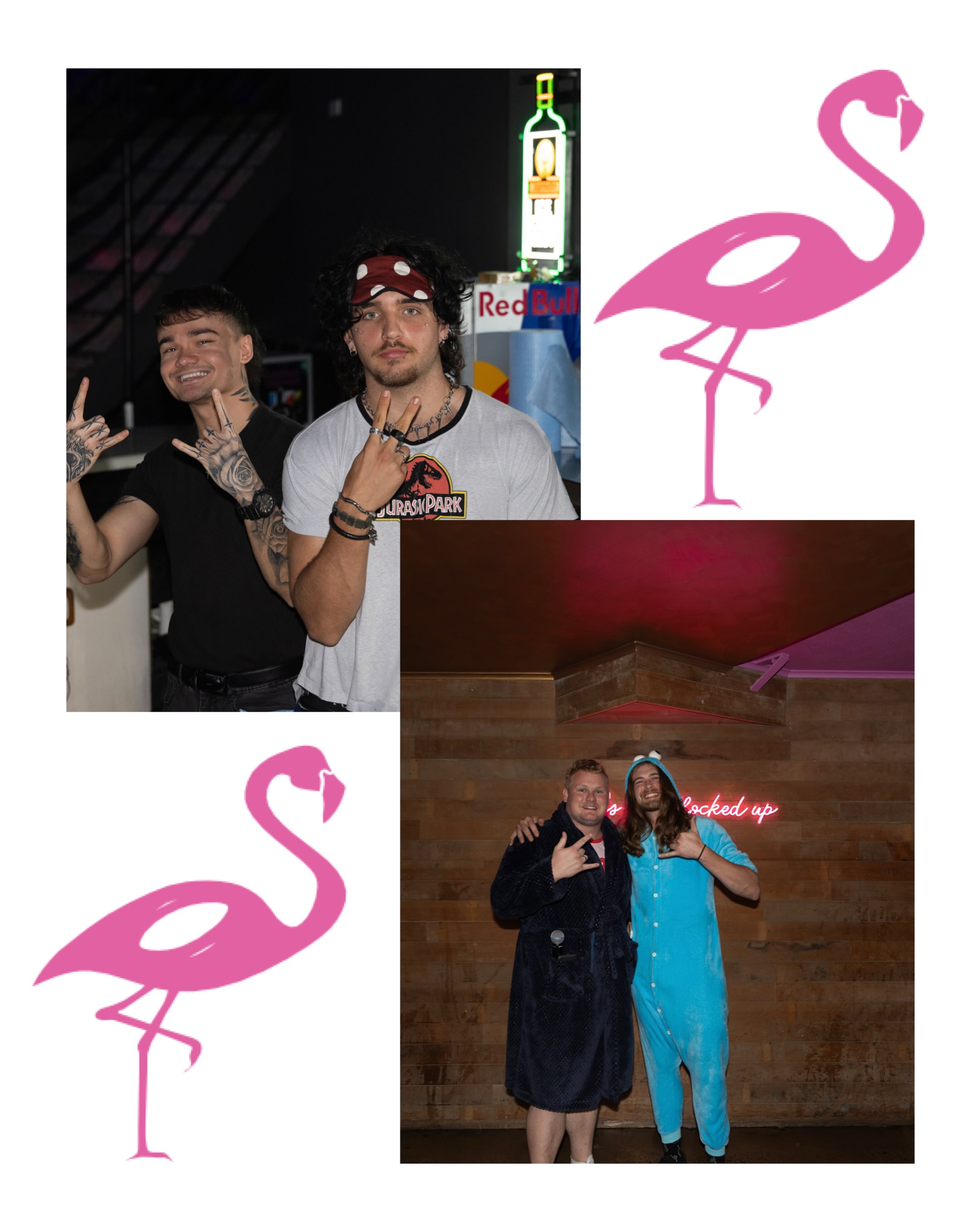 Flamingos Rockhampton