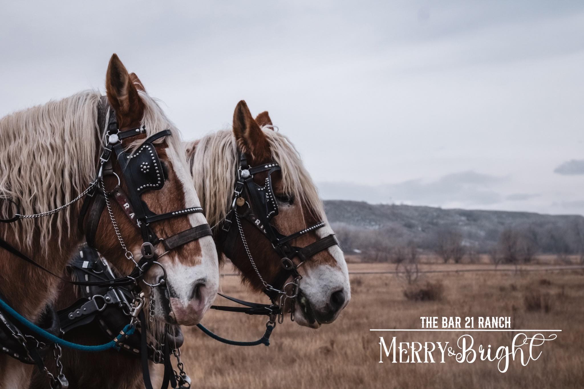 The Bar 21 Ranch | Myton UT