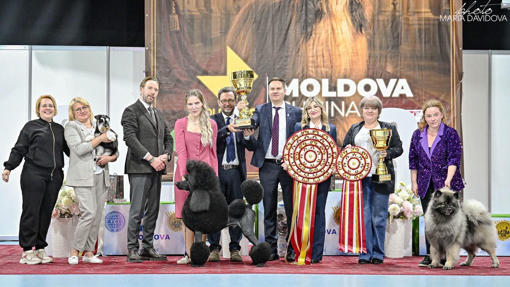SUPREME BEST IN SHOW RESULTS INTERNATIONAL DOG SHOWS • 3xFCI CACIB  
